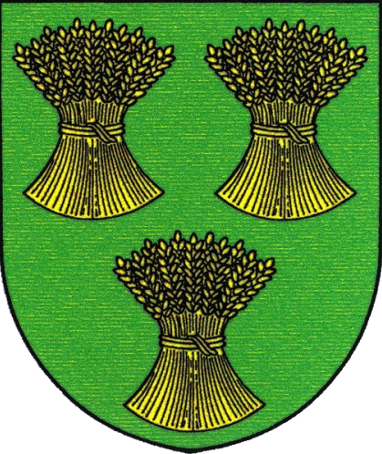 Logo Nové Vsi